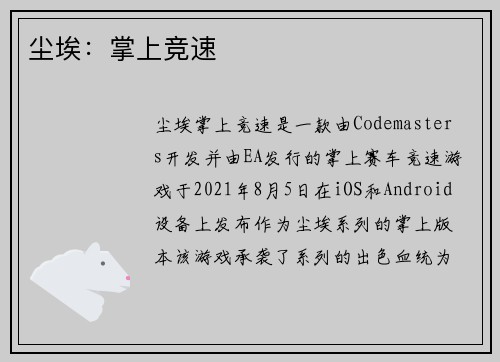 尘埃：掌上竞速